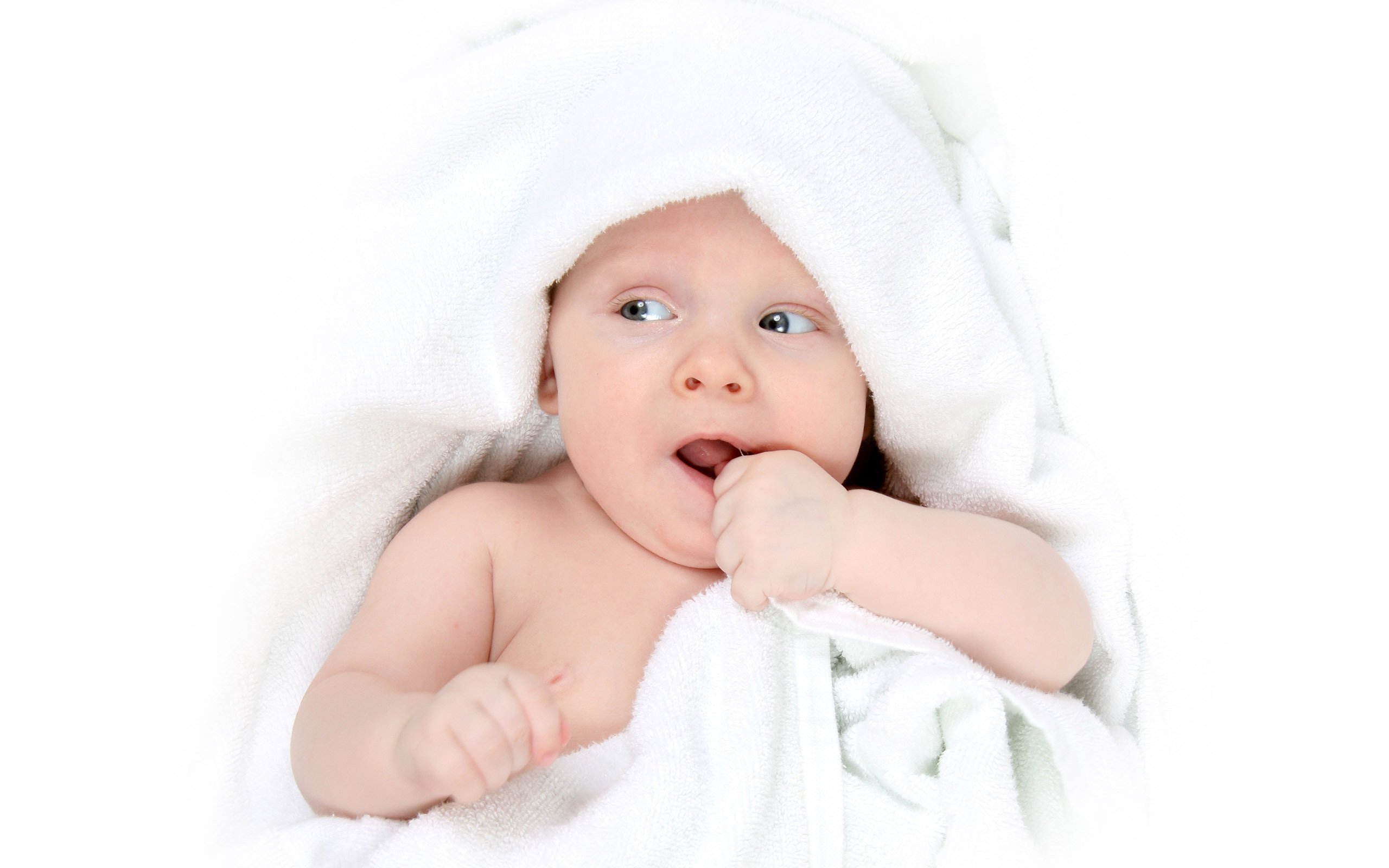 杭州代怀生子助孕机构试管婴儿囊胚成功率